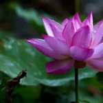 5 Surprising Truths About the Power of Prayer for Self Love